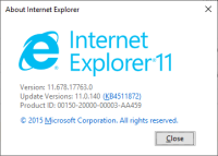 IE_version.png